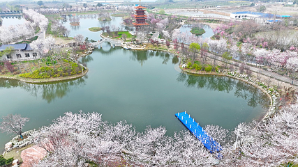紫薇都市田园第 50 张图片