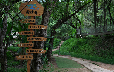 霖溪林风景区第 10 张图片