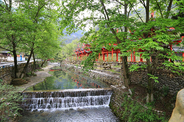 三峡龙隐谷生态旅游区第 25 张图片