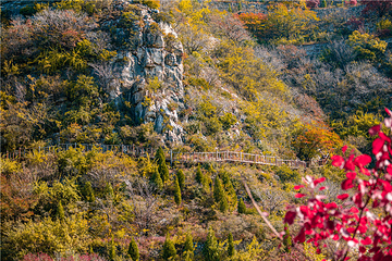 青铜山大峡谷第 87 张图片