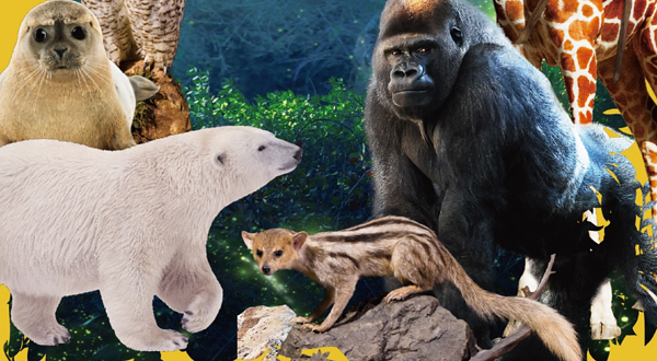 《你好！神奇动物》珍稀动物生态展