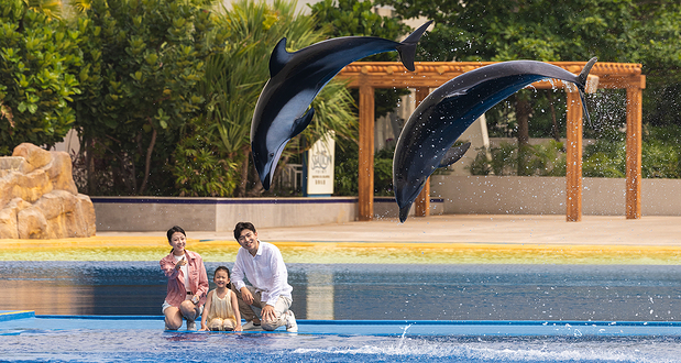 三亚亚特兰蒂斯海豚小岛