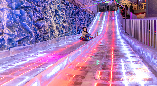 树木园主题乐园