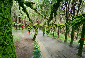 龟山景区(龟山望龙洞风景区)第 17 张图片