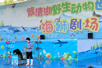 南京紫清湖野生动物世界第 22 张图片