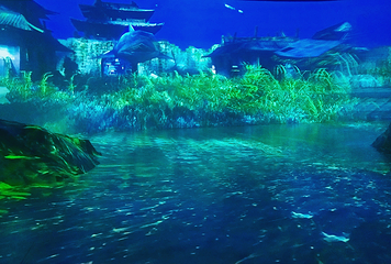 千岛湖梦之岛乐园第 42 张图片