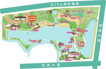 杭州湾海上花田第 3 张图片