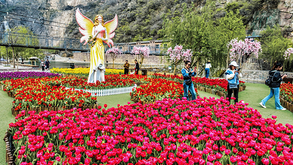 河南宝泉旅游区-宝泉大峡谷第 40 张图片