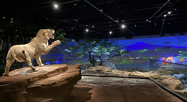 康巴什自然探索中心