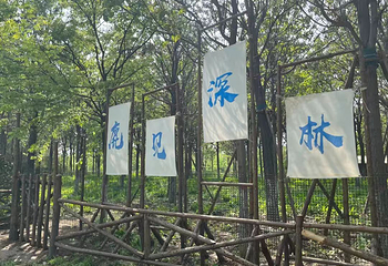 茌平原野乐园第 9 张图片