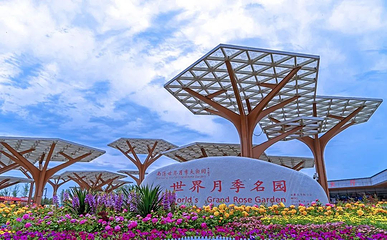 南阳世界月季大观园第 2 张图片