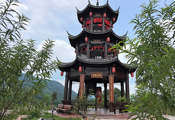 茶趣园第 2 张图片