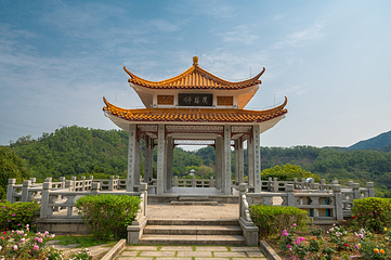 仙湖植物园第 21 张图片