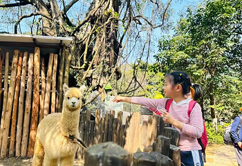 广州山谷国际旅游度假区第 89 张图片