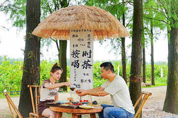厚承陈皮文化生态园第 20 张图片