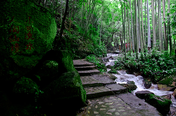 白水仙风景名胜区第 35 张图片