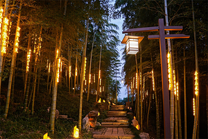 杼山妙境天下茶经