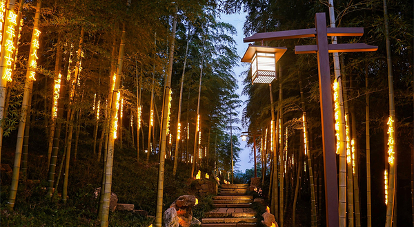 杼山妙境天下茶经