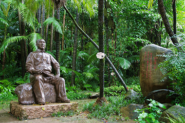 广州兰圃第 25 张图片