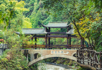 巴山大峡谷第 58 张图片