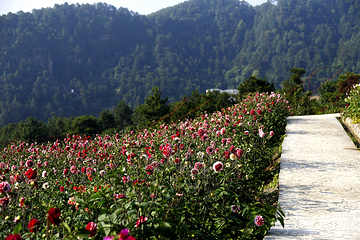 五华山旅游区第 83 张图片