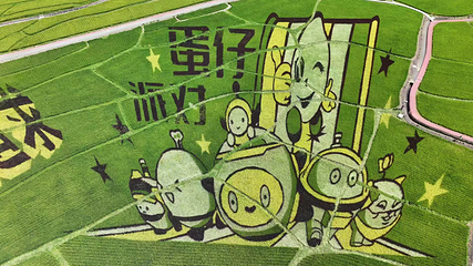 昊禹稻花乡里景区第 9 张图片