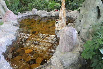 雁鸣湖恐龙谷凌云温泉第 9 张图片