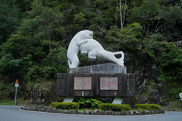 武夷山国家公园1号风景道第 12 张图片