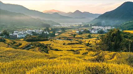 江岭景区第 29 张图片