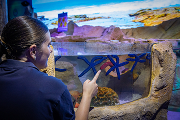 悉尼水族馆第 28 张图片