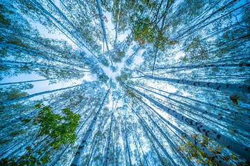 露水河长白山国际狩猎场第 36 张图片