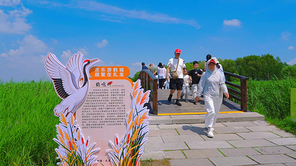 扎龙生态旅游区第 72 张图片