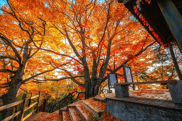 光雾山旅游景区第 33 张图片