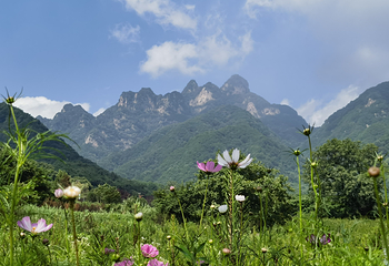 西镇吴山景区第 12 张图片