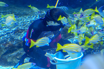海合安武汉极地海洋公园第 425 张图片