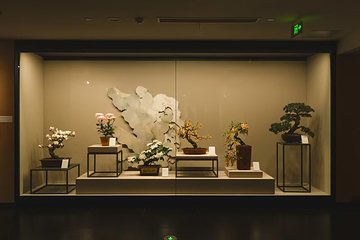 扬州非遗珍宝馆第 2 张图片