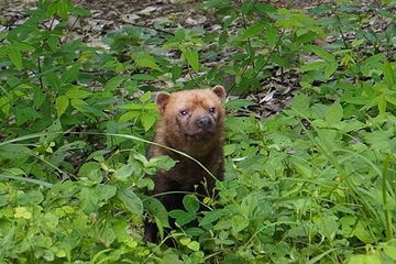 东山动植物园第 26 张图片