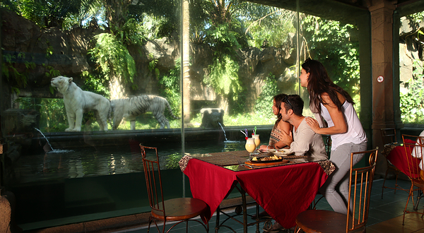 印尼普里根野生动物园