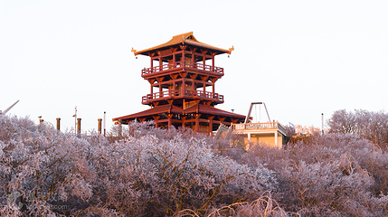 饶河大顶子山森林公园第 4 张图片