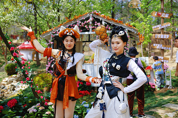 沂蒙山云蒙景区(蒙山国家森林公园)第 14 张图片