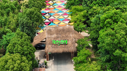 泊野雨林第 3 张图片