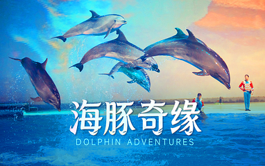 上海海昌海洋公园第 5 张图片