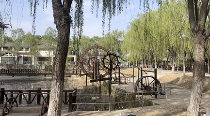 乐环球动物主题乐园第 19 张图片