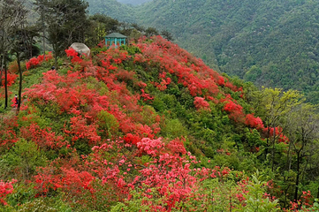 云居山第 18 张图片