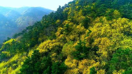 九如山休闲旅游度假区第 191 张图片