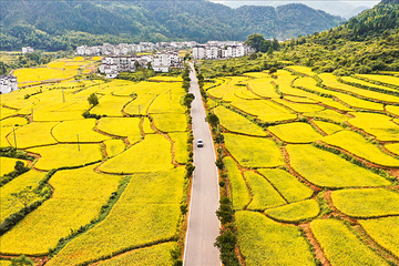 江岭景区第 36 张图片