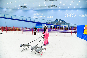 广州热雪奇迹第 232 张图片