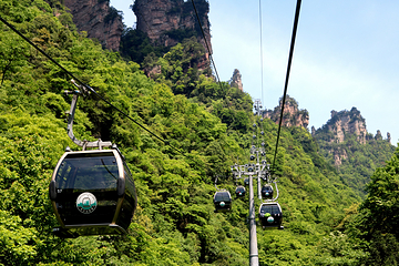 天子山风景区第 46 张图片
