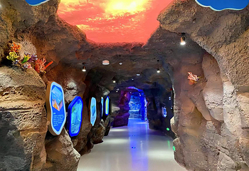 襄阳海洋世界第 15 张图片