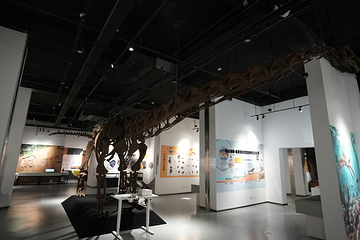 新琅琊恐龙展-《人与生物学》展学空间第 2 张图片